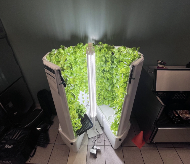 Screenshot 2025 12 08 At 2.46.55 PM Hydroponics system at MMHS