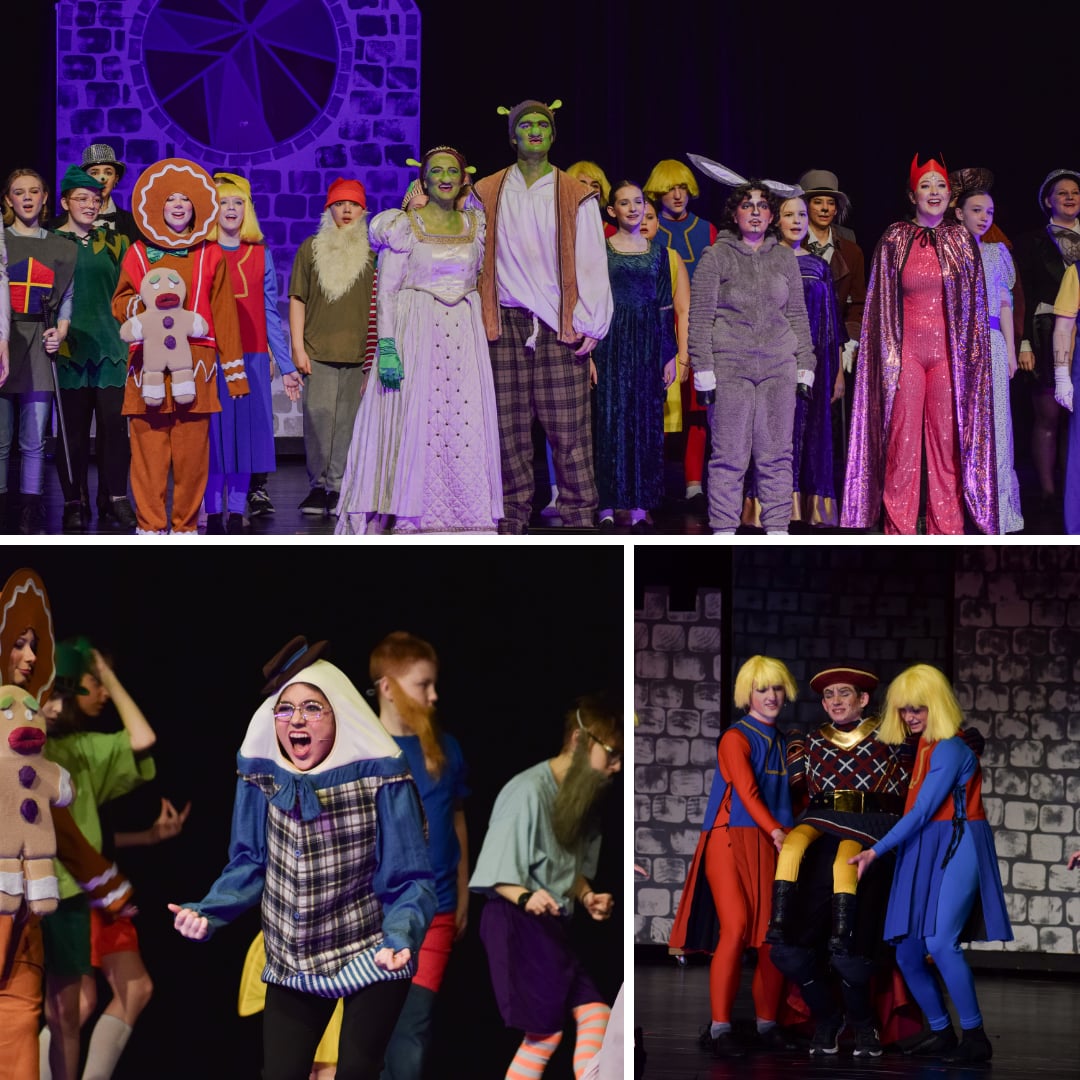 Collage of theater performances